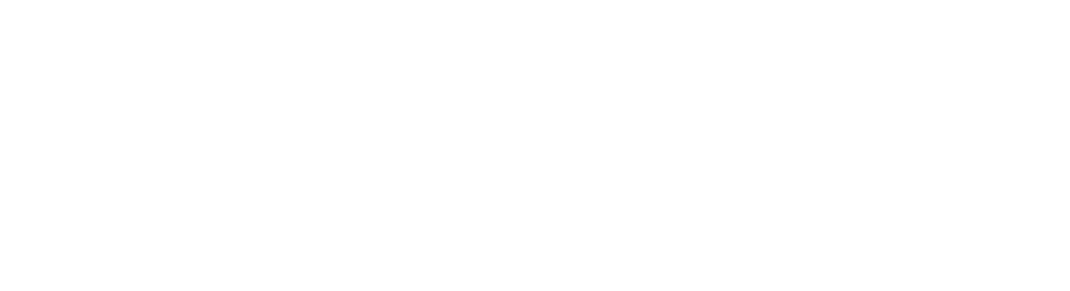 Watermark